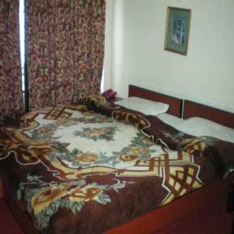 Sailung Hotel, Darjeeling 3